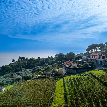 Perla Sul Mare Con Giardino 아파트 샌로렌조알메어