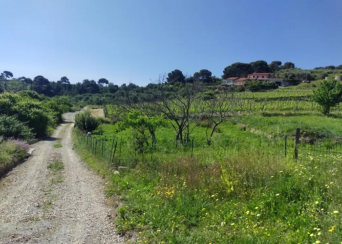 Lägenhet Perla Sul Mare Con Giardino San Lorenzo al Mare